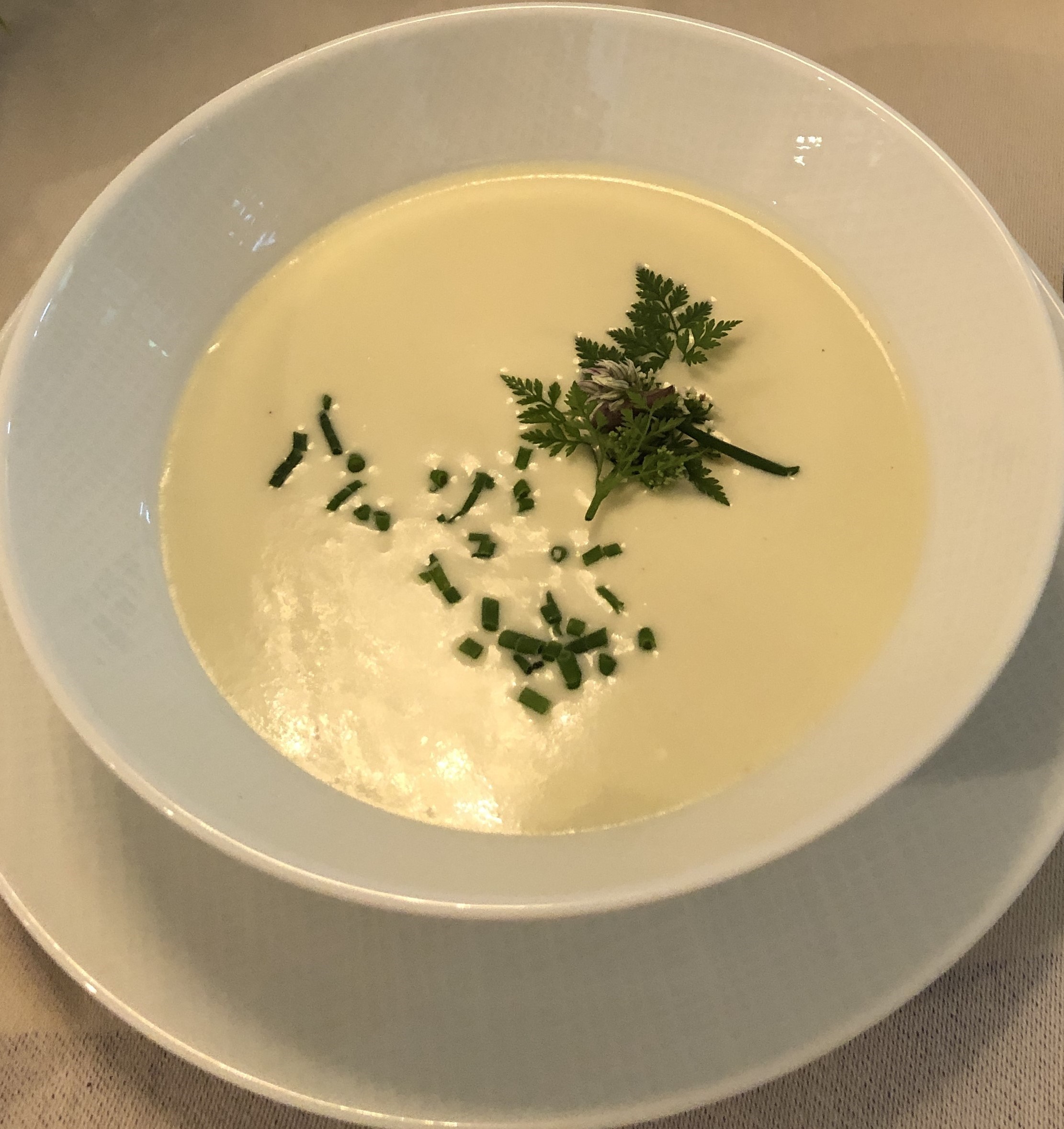Vichyssoise